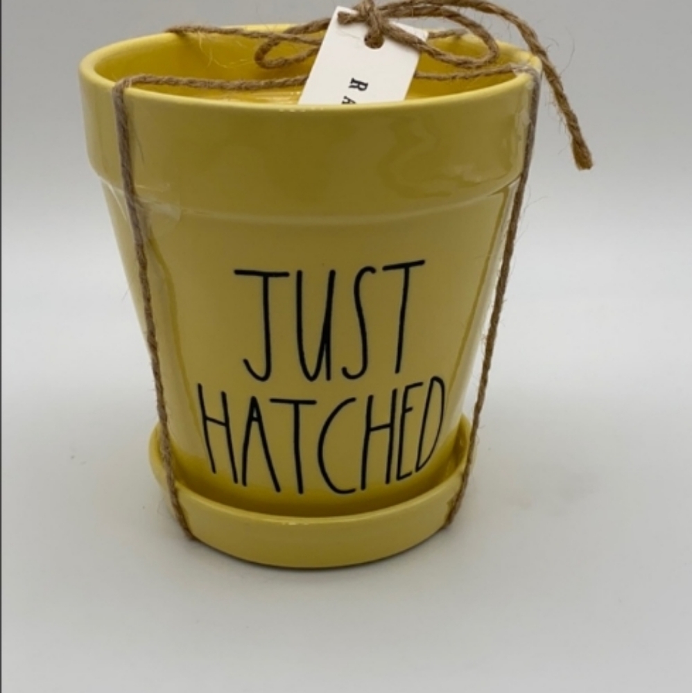 NWT🌿Rae Dunn "JUST HATCHED" Planter